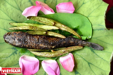 Flor de loto en el campo gastronómico 