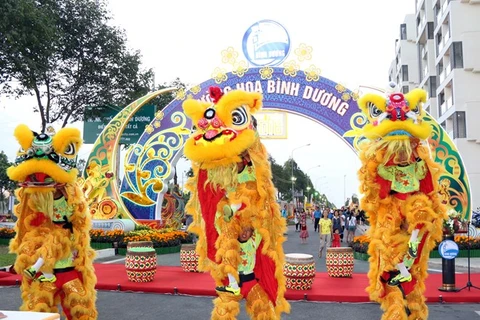 Celebrarán en Hanoi Festival “Color de la primavera en todo el país 2017”