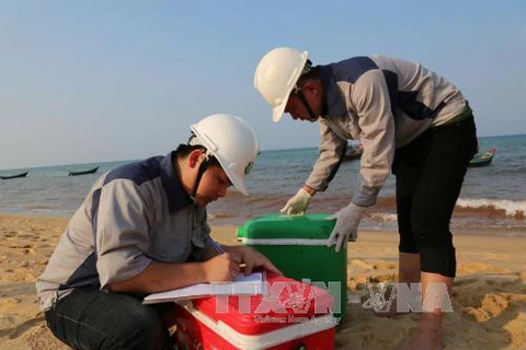 Urgen a control del ambiente marino en provincias centrovietnamitas