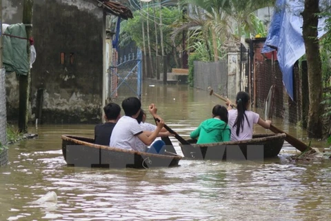 Vietnam solicita préstamo de BM para superar secuelas de desastre natural