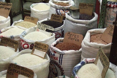 Indonesia mantiene visión positiva sobre satisfacer demanda nacional de arroz