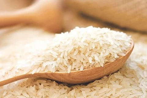 Indonesia comprará nueve millones de toneladas de trigo
