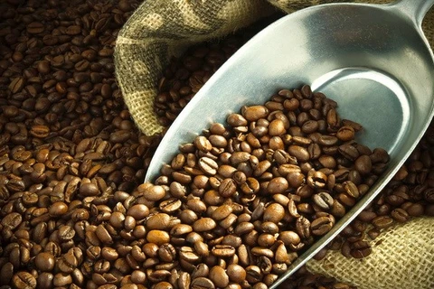 En alza exportaciones de café de Vietnam