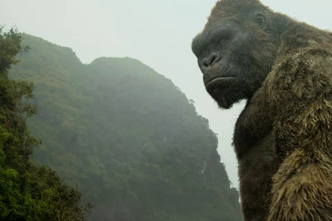 ¿Por qué Vietnam es el lugar perfecto para Kong: la Isla Calavera? 