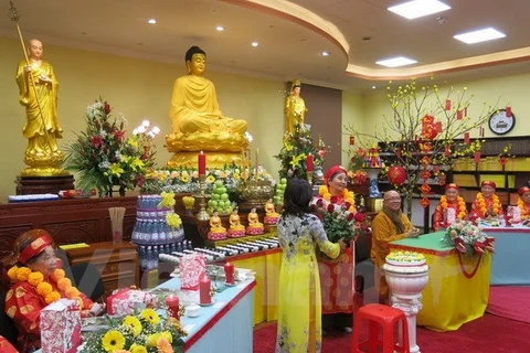 Provincia vietnamita acogerá el Día Cultural del Budismo de India
