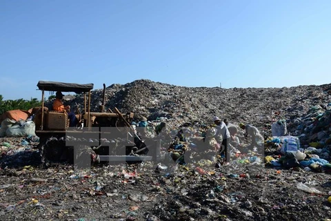 Vietnam y Japón fomentan cooperación en sector ambiental 