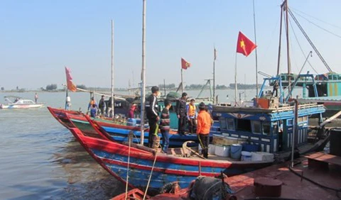 Provincia de Thanh Hoa adopta medidas para impulsar el sector pecuario