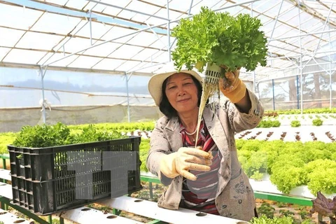 Inauguran primera feria de productos agrícolas de cooperativas