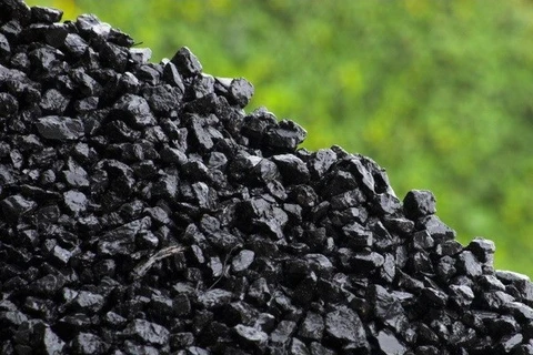 Vietnam y Japón cooperan en el desarrollo de producción de carbón limpio