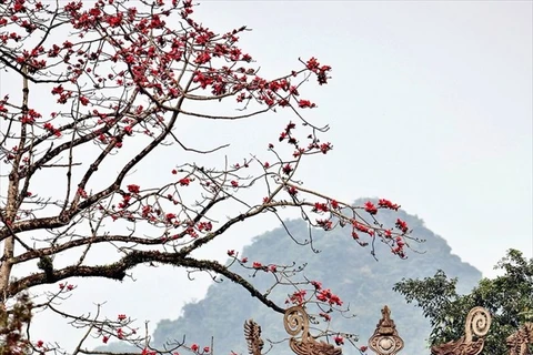 Pagoda Huong - un destino para viajes de primavera