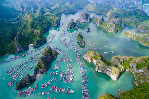 Prepara Vietnam documentos para solicitar reconocimiento de zona Ha Long - Cat Ba como patrimonio mundial