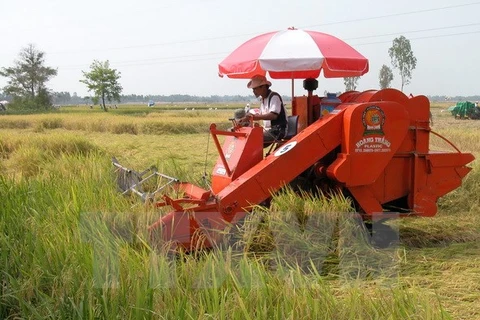 IFC respalda a Vietnam en desarrollo sostenible de agricultura