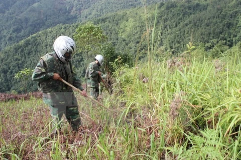 Vietnam impulsa apoyo a víctimas de explosivos remanentes de las guerras