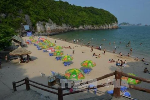 Hai Phong atrae a más de tres millones de turistas en primer semestre de 2017