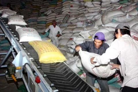 Vietnam planea reducir exportaciones de arroz 