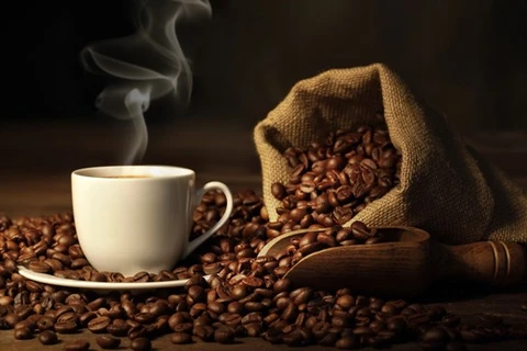Valor de exportación de anacardo y café de Vietnam registra alto crecimiento 