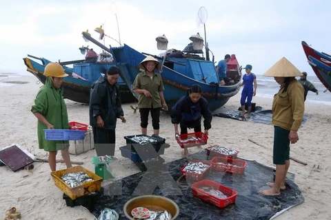 Aguas de la costa central de Vietnam son seguras, afirman autoridades 