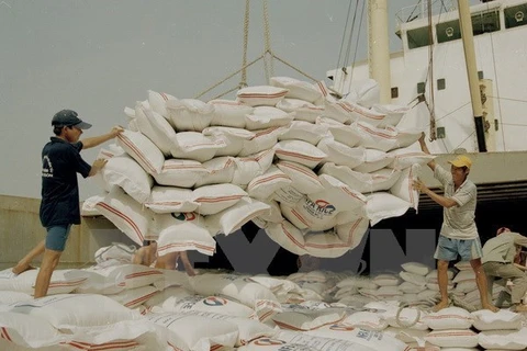 Empresas vietnamitas participarán en licitación de 250 mil toneladas de arroz para Filipinas