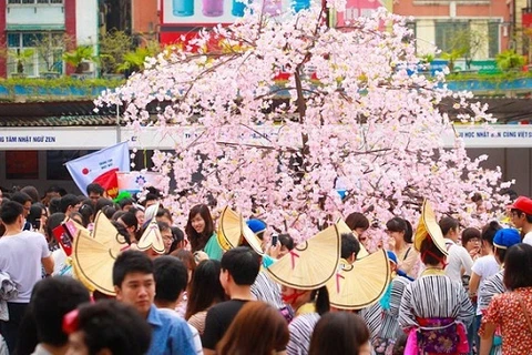 Celebrarán en Da Nang programa de intercambio cultural Vietnam- Japón