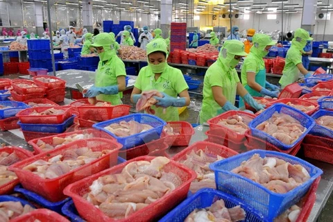 Vietnam ingresa fondo multimillonario por venta al exterior de productos acuáticos 