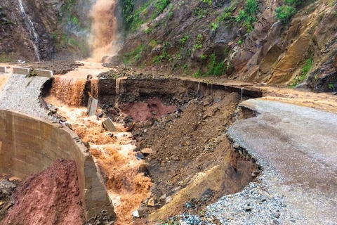 Desastres naturales provocan pérdidas humanas y materiales en Vietnam 