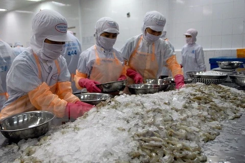 Reino Unido- mayor importador de camarón vietnamita en Unión Europea
