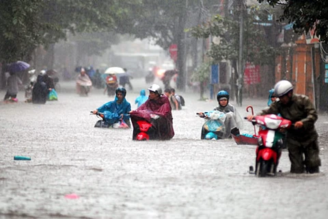 Japón brinda asistencia a Hanoi para mejorar capacidad de prevención de inundaciones
