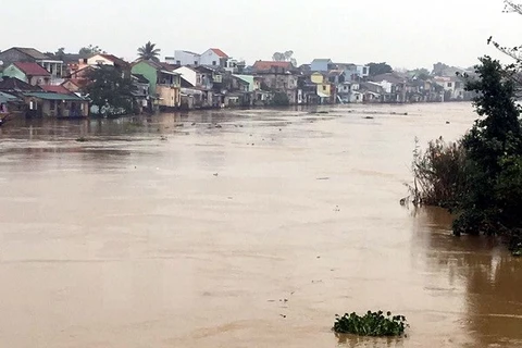 Japón ayuda a Vietnam en gestión de inundaciones 