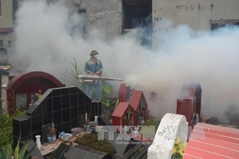 Hanoi refuerza medidas para controlar el dengue