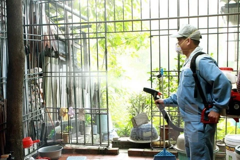 Vietnam registra más de 90 mil casos de dengue 