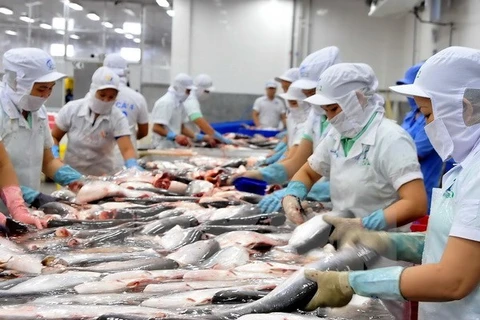 Exportaciones vietnamitas de pescado Tra a EE.UU. se mantienen estables 