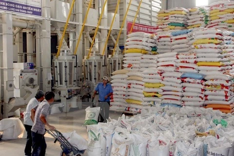 Exportaciones de arroz de Laos decrecen en 42 por ciento en primer semestre de 2017 