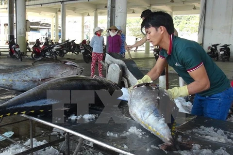 Vietnam ingresa más de cinco mil millones de dólares por venta de mariscos