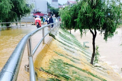 Localidad vietnamita implementa medidas contra inundaciones 