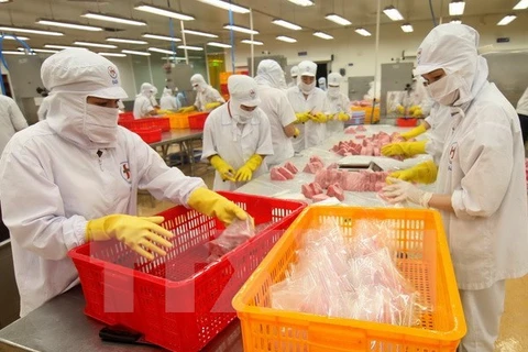 Vietnam se esfuerza para cumplir recomendaciones de UE sobre pesca ilegal