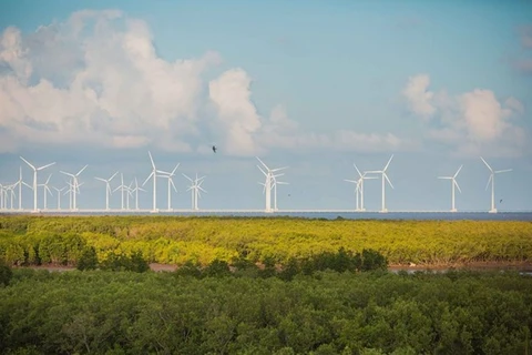 Indonesia dispone de grandes potencialidades para desarrollo de energías renovables