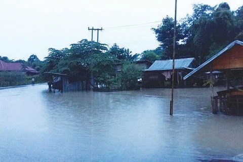 Vietnamitas en el exterior respaldan a laosianos en superación de secuelas de desastre natural