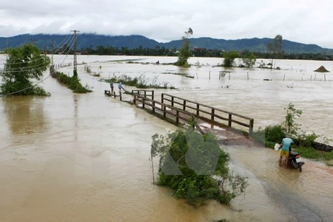 Inundaciones causan graves pérdidas humanas y materiales en Vietnam
