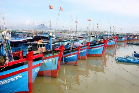 Provincia costera vietnamita refuerza economía marítima