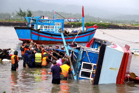 UE expresa solidaridad con Vietnam ante pérdidas causadas por el tifón Damrey