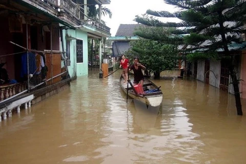 ASEAN respalda a pobladores vietnamitas afectados por tifón Damrey
