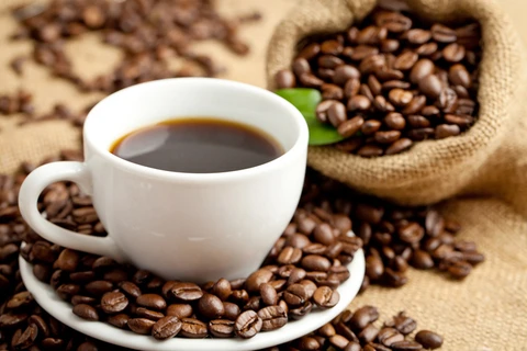 Vietnam busca ingresar fondo multimillonario en 2030 por exportaciones de café