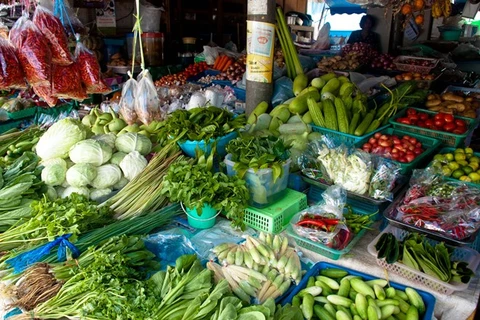 Tailandia: advierten sobre garantía de inocuidad de frutas y vegetales