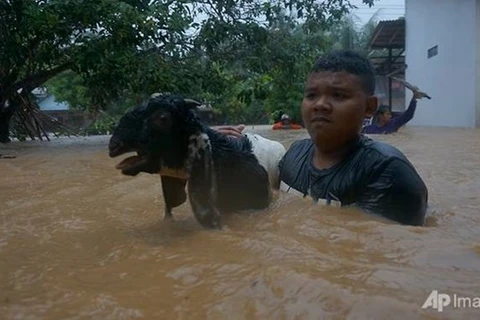 Cantidad de muertos por ciclón en Indonesia aumenta a 41