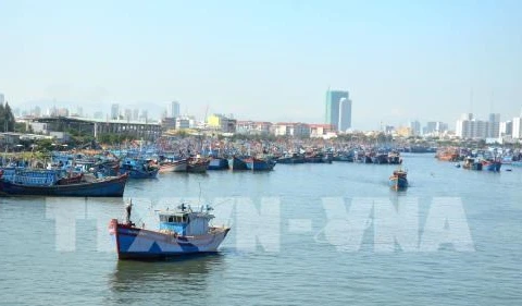 Thanh Hoa trabaja por combatir contra pesca ilegal 