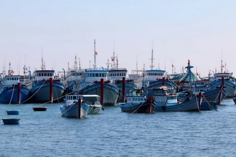 Vietnam por impulsar desarrollo sostenible de la pesca