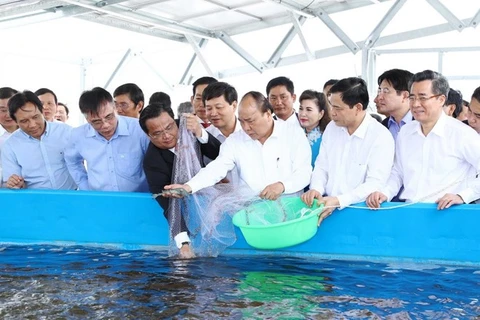 Inician construcción de zona agrícola de alta tecnología en provincia survietnamita