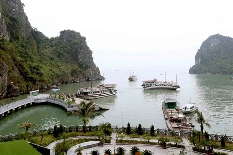 Estudiarán construcción de túnel en entrada a la Bahía de Ha Long