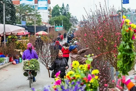 Máximos dirigentes de Vietnam y China intercambian mensajes de Año Nuevo