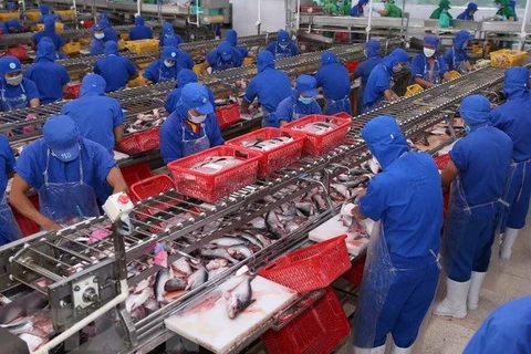 En tendencia alcista las exportaciones acuáticas de Vietnam en enero